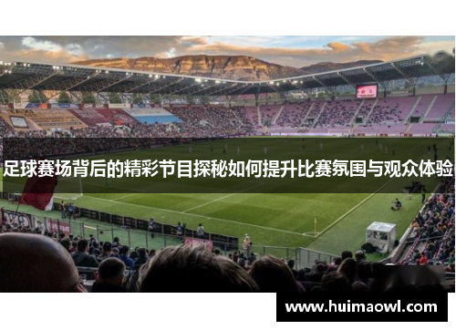 足球赛场背后的精彩节目探秘如何提升比赛氛围与观众体验